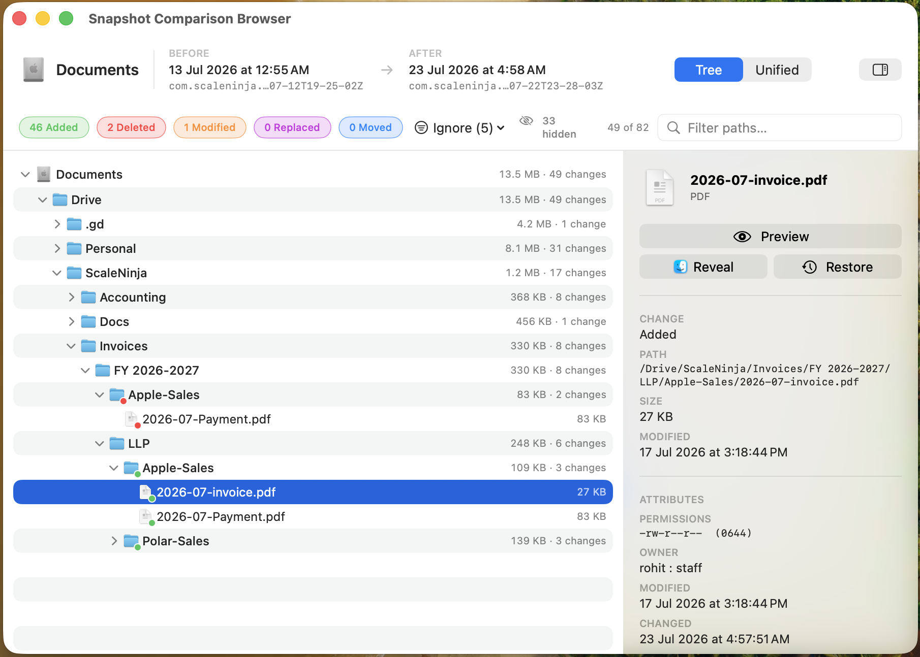 DeltaSnap Snapshot Comparison Browser showing before and after snapshots, counts for added, deleted, modified, replaced, and moved paths, a change tree, and an inspector for the selected file.