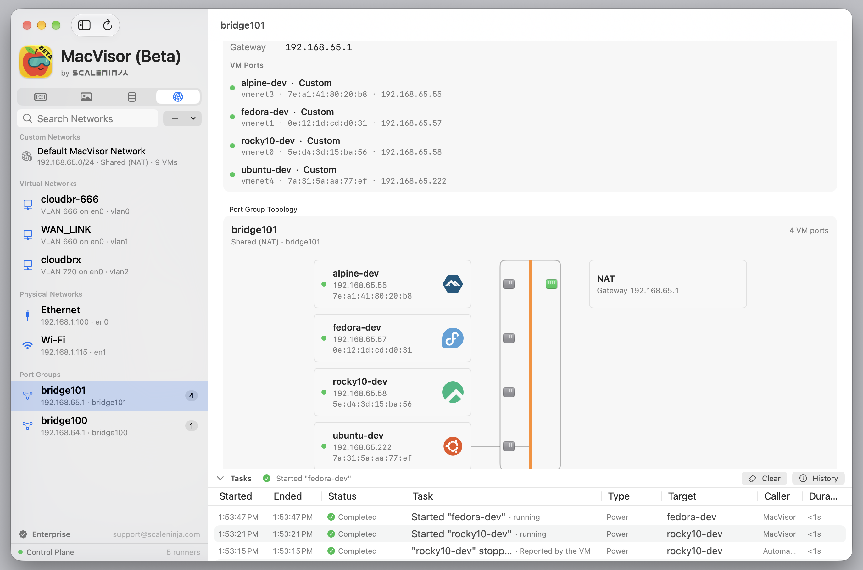 MacVisor's Networks view with custom networks, VLAN interfaces and a topology diagram of four VMs on a shared NAT network.